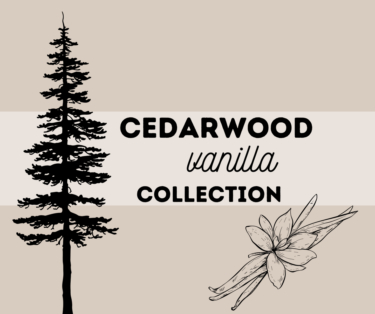 CEDARWOOD VANILLA COLLECTION