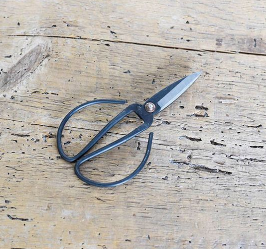 PLANT SCISSORS