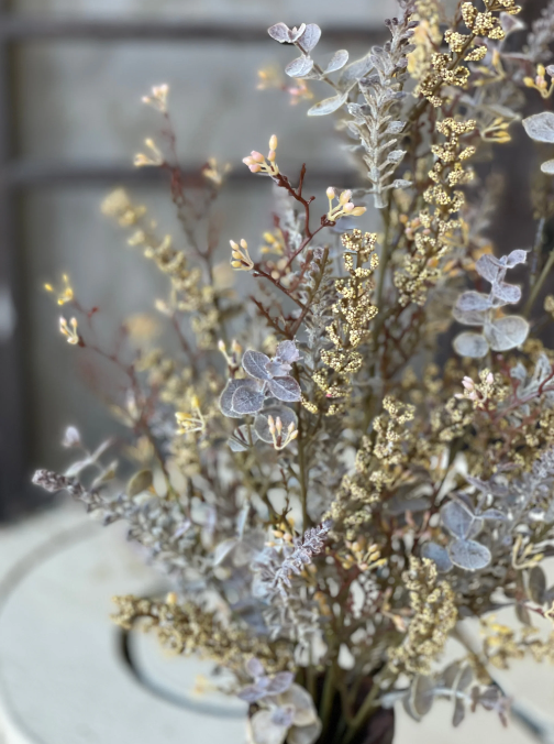 SUPER DEAL!!! 20.5" AUTUMN HAZE BUSH