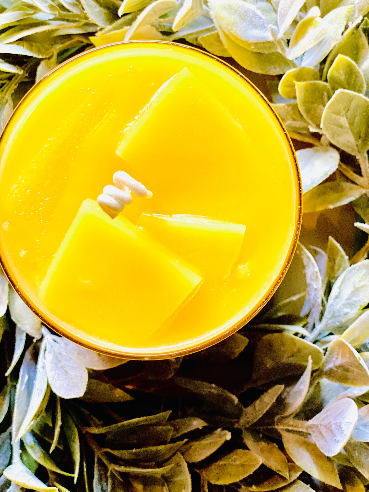 LEMON BISCOTTI | 19+oz Chippy Top Jar Candle