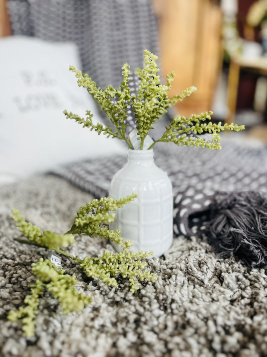 Green Berry Succulent