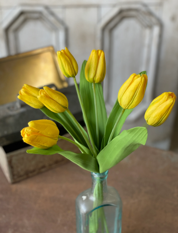 Tulip Time | 14.5" | Yellow | set/7