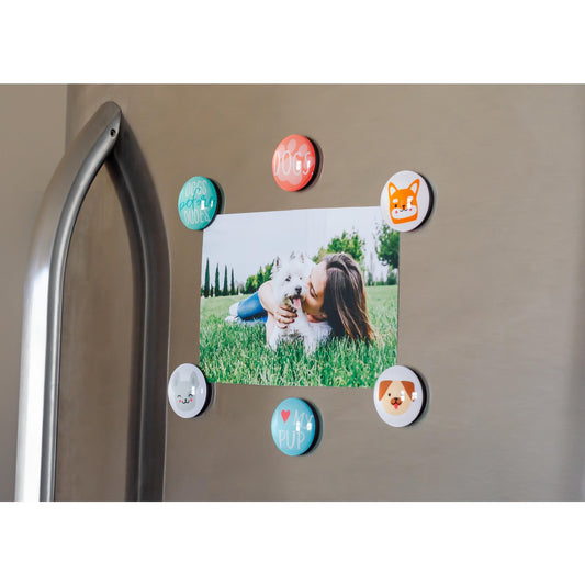 Dog Glass Magnet Set/6