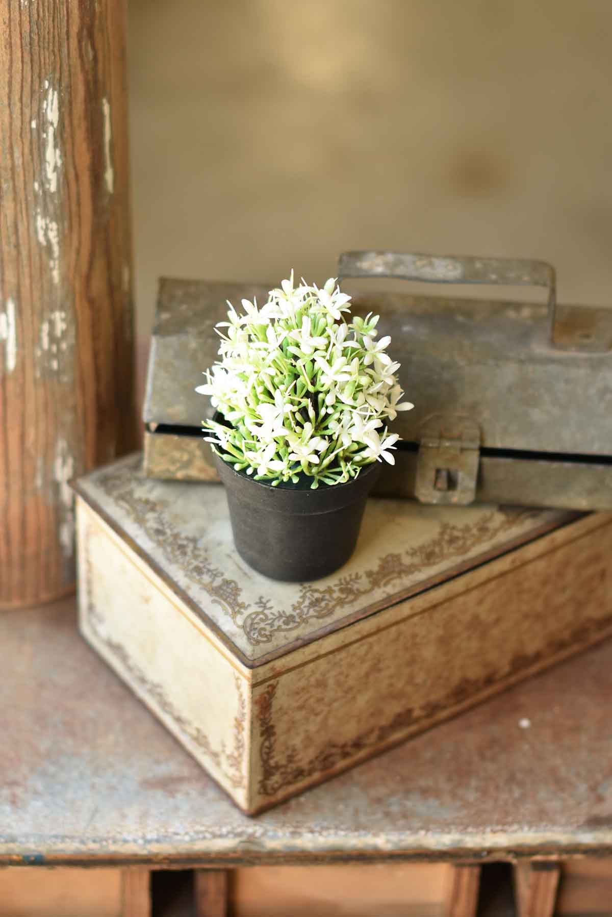 Meadow Glade Pot | White | 5.75"