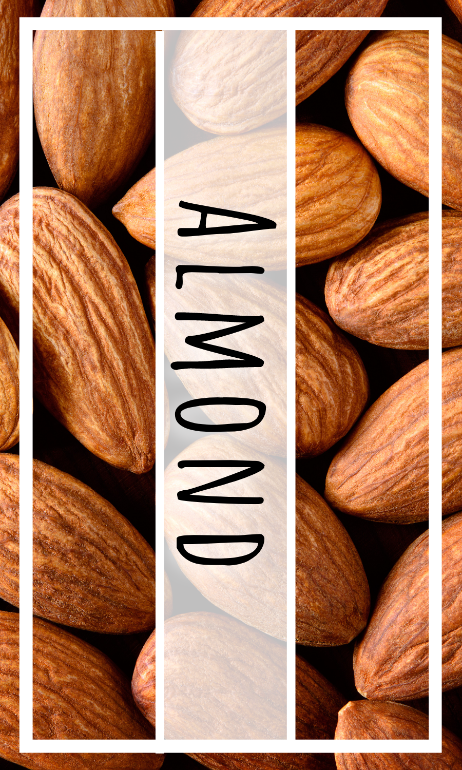 Almond Fragrance Oil