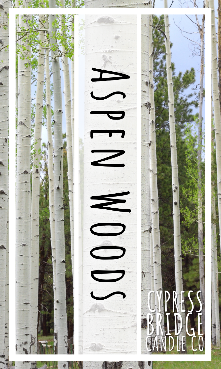 Aspen Woods Fragrance Oil