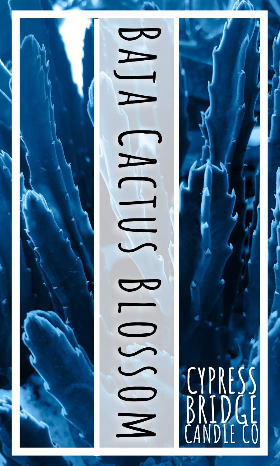 Baja Cactus Blossom TP Fragrance Oil