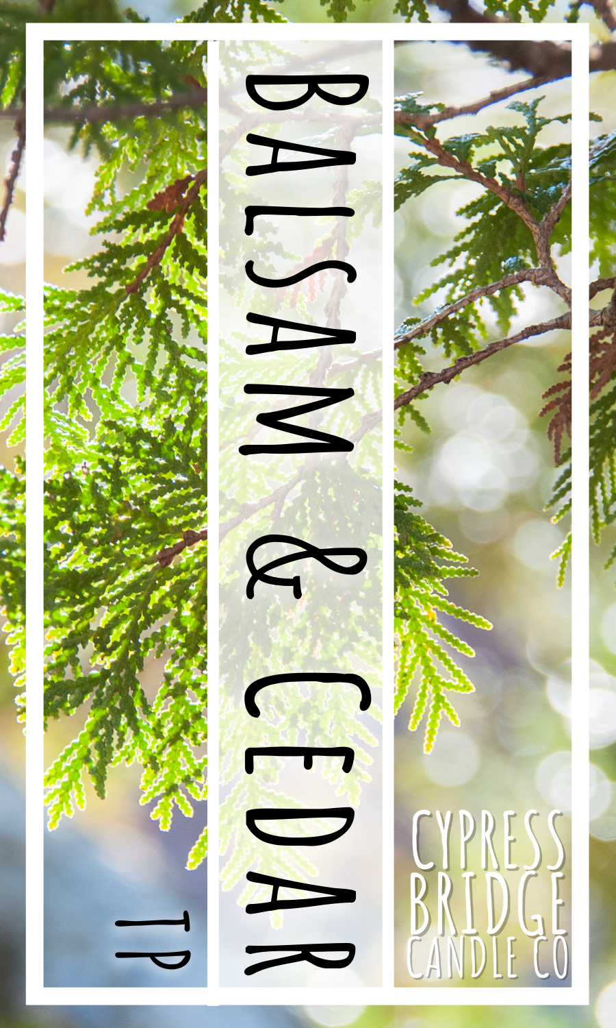 Balsam & Cedar TP Fragrance Oil