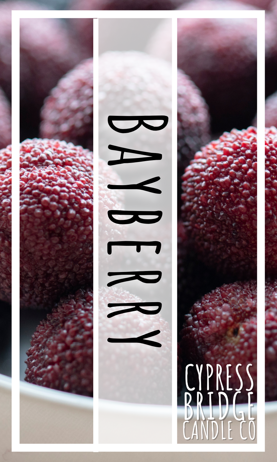 Bayberry Fragrance Oil