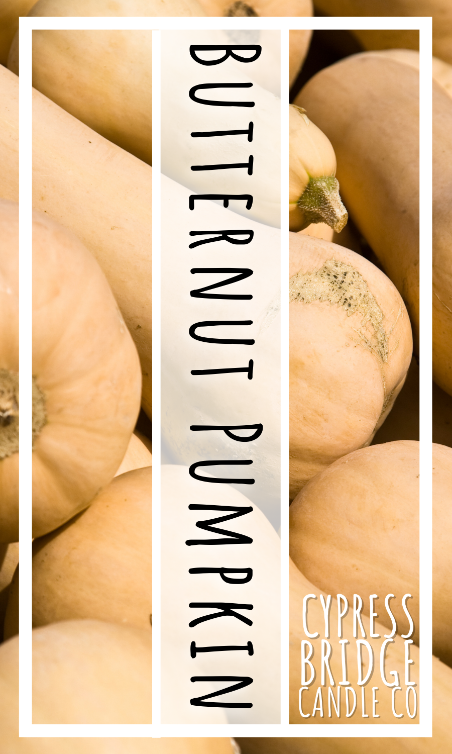 Butternut Pumpkin Fragrance Oil