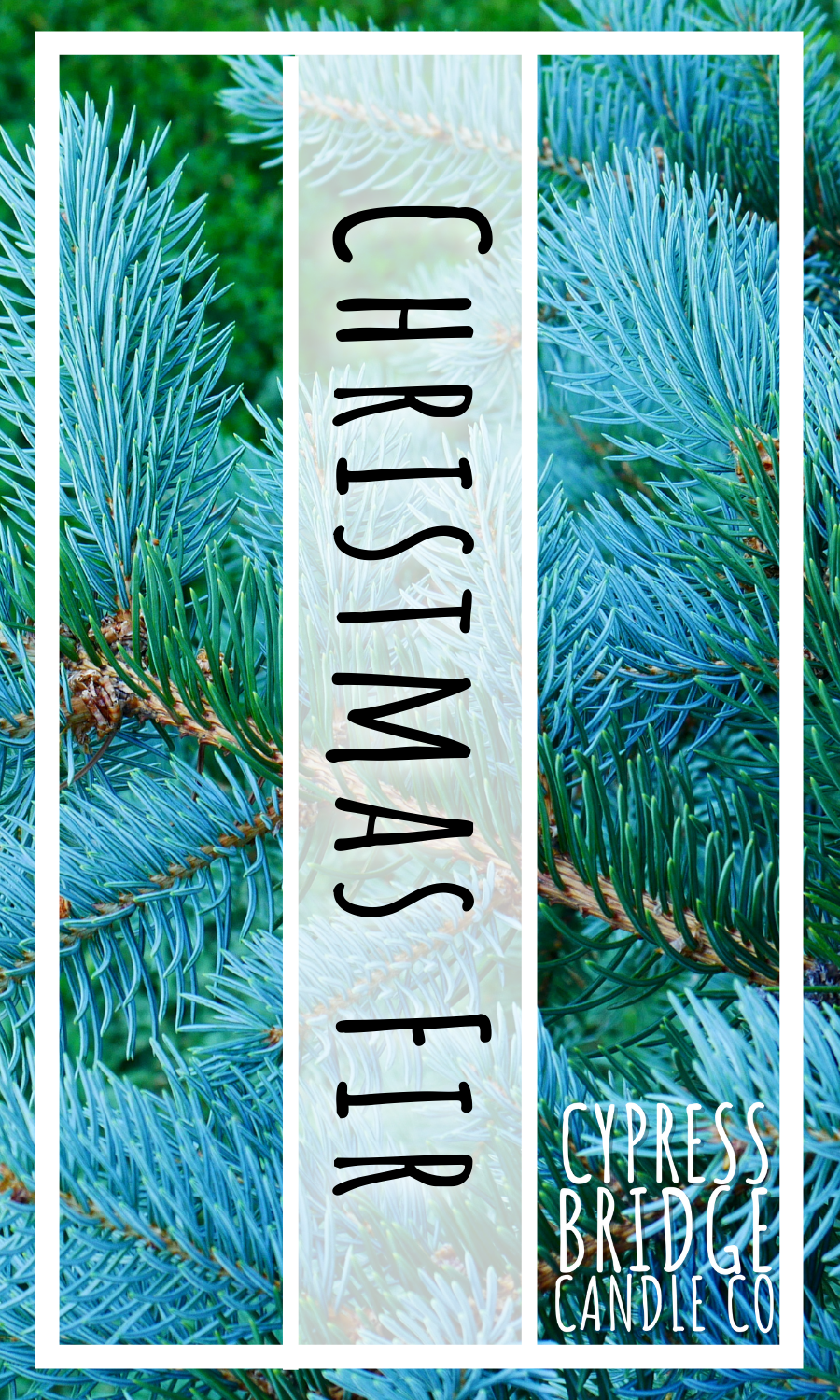 Christmas Fir Fragrance Oil