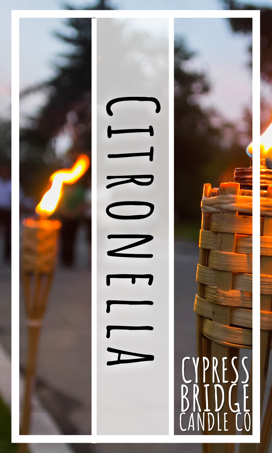 Citronella Fragrance Oil