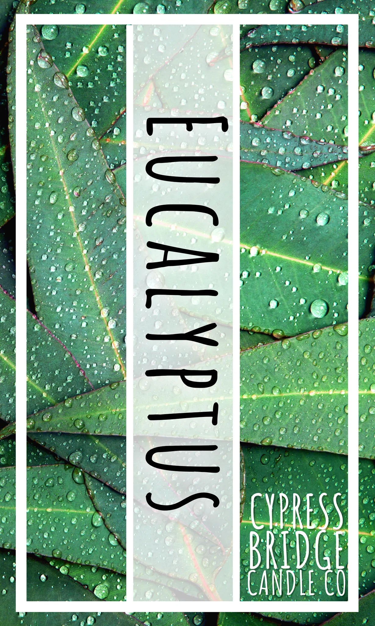 EUCALYPTUS Votive Candles - Set (6) or bakers dozen (13)