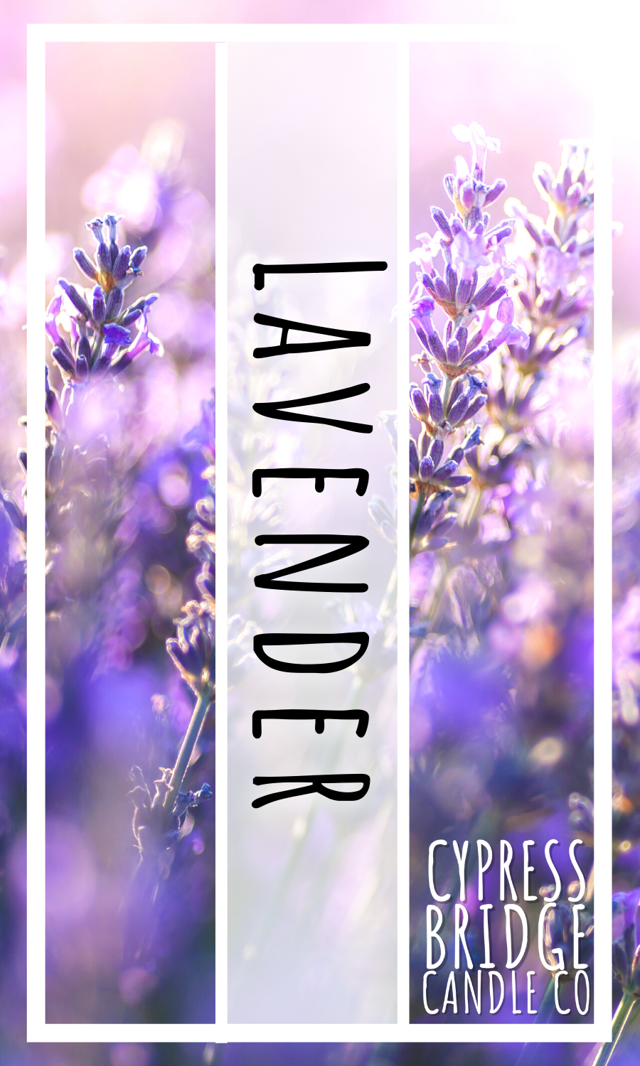 Lavender Fragrance Oil