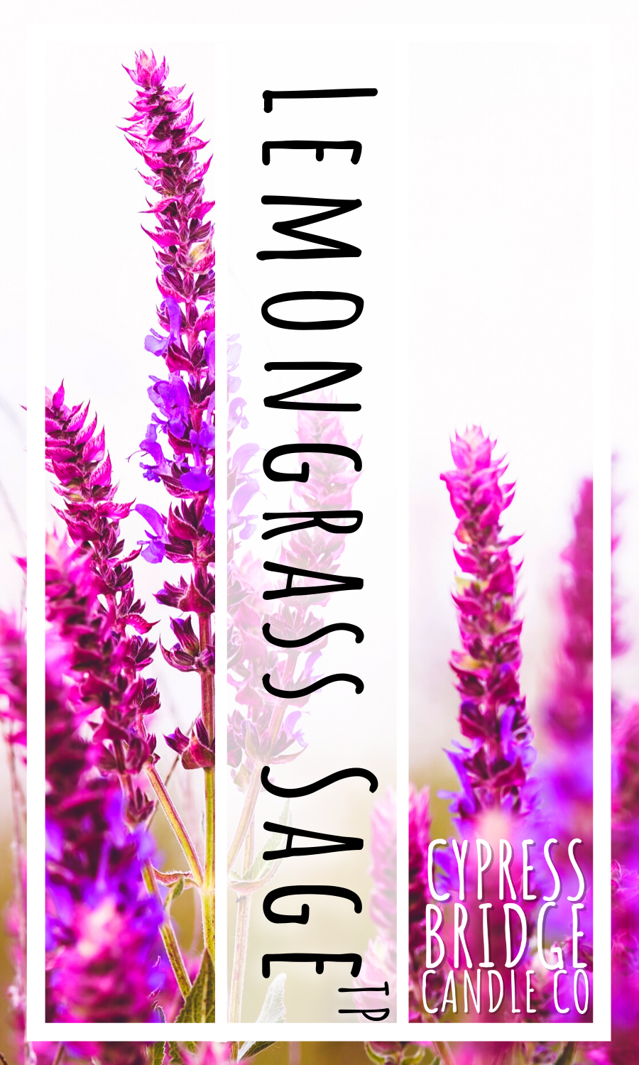 Lemongrass Sage TP Fragrance Oil