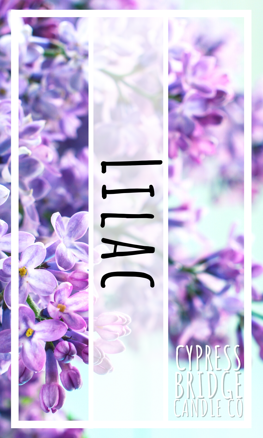 Lilac Fragrance Oil