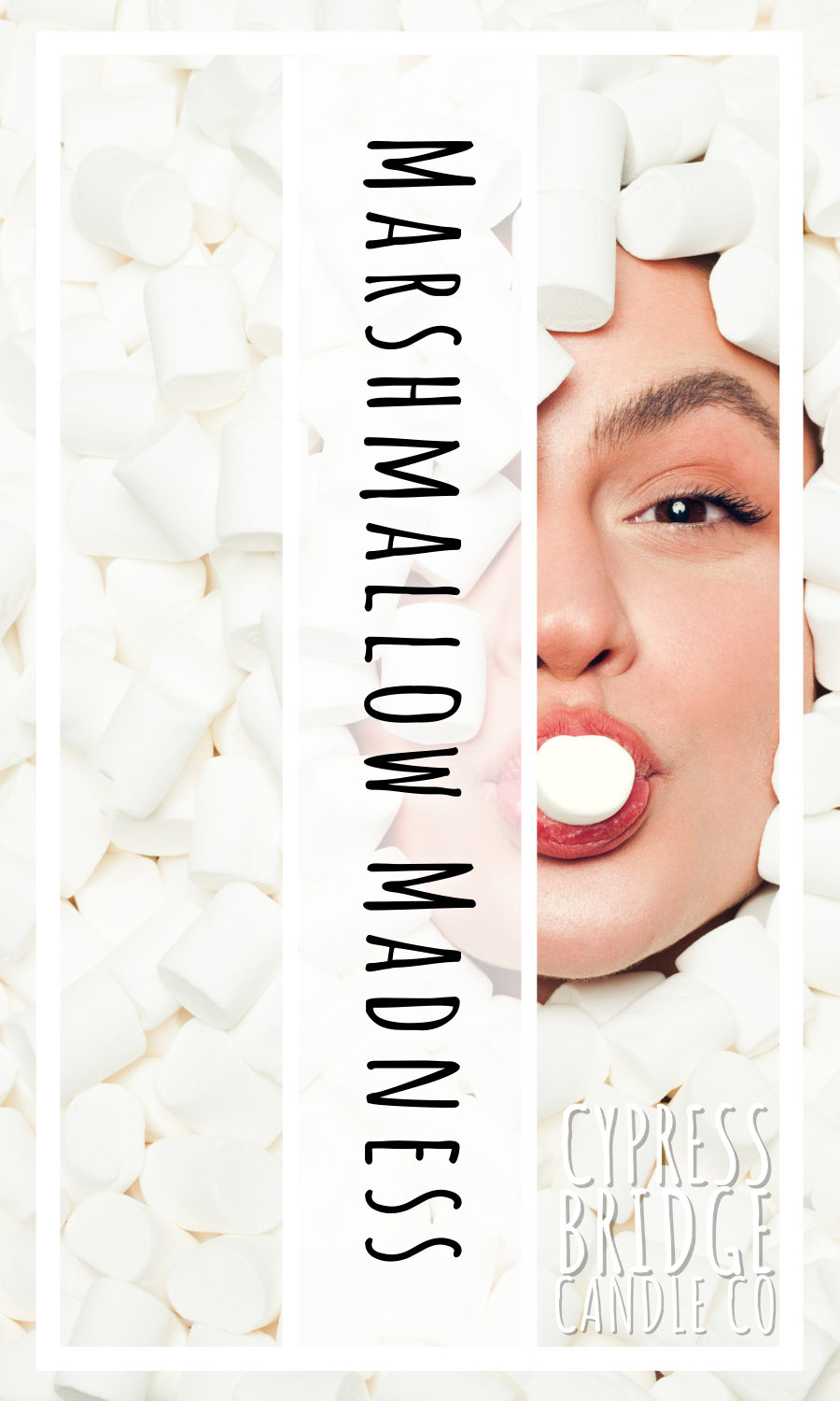 Marshmallow Madness Fragrance Oil