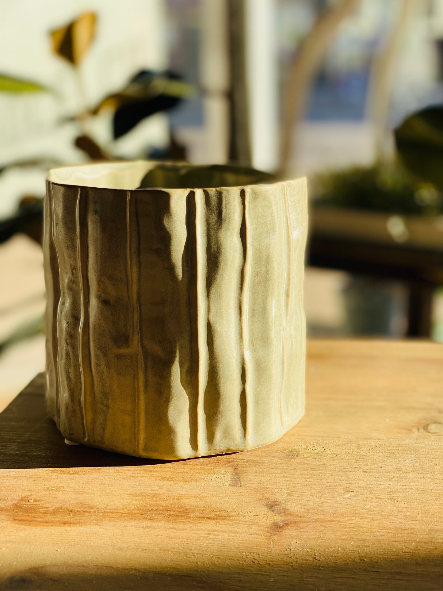 Capricorn Ceramic Planter