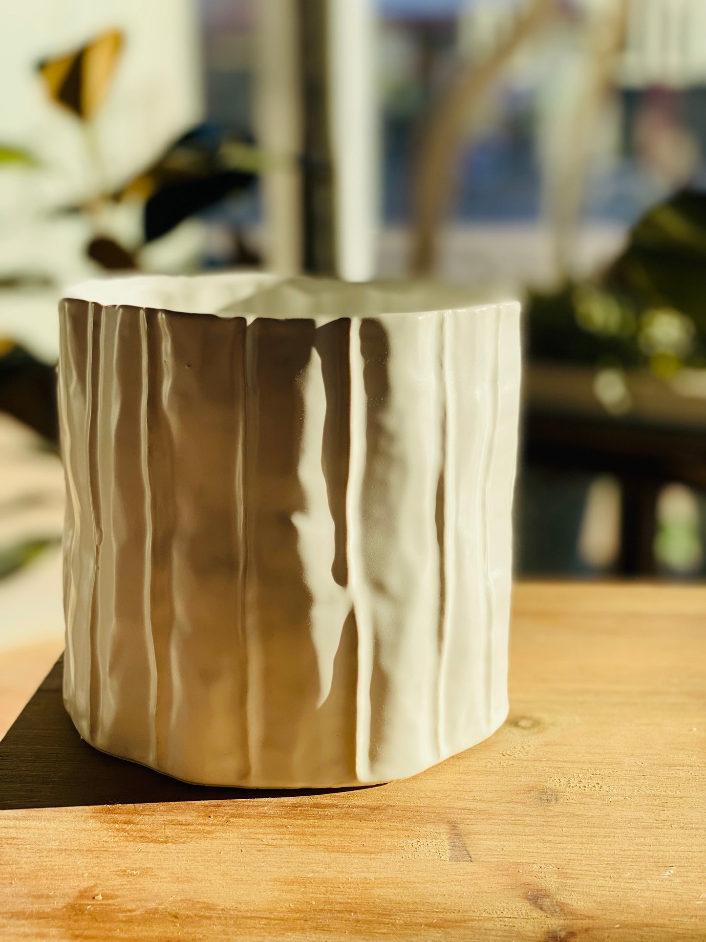 Capricorn Ceramic Planter