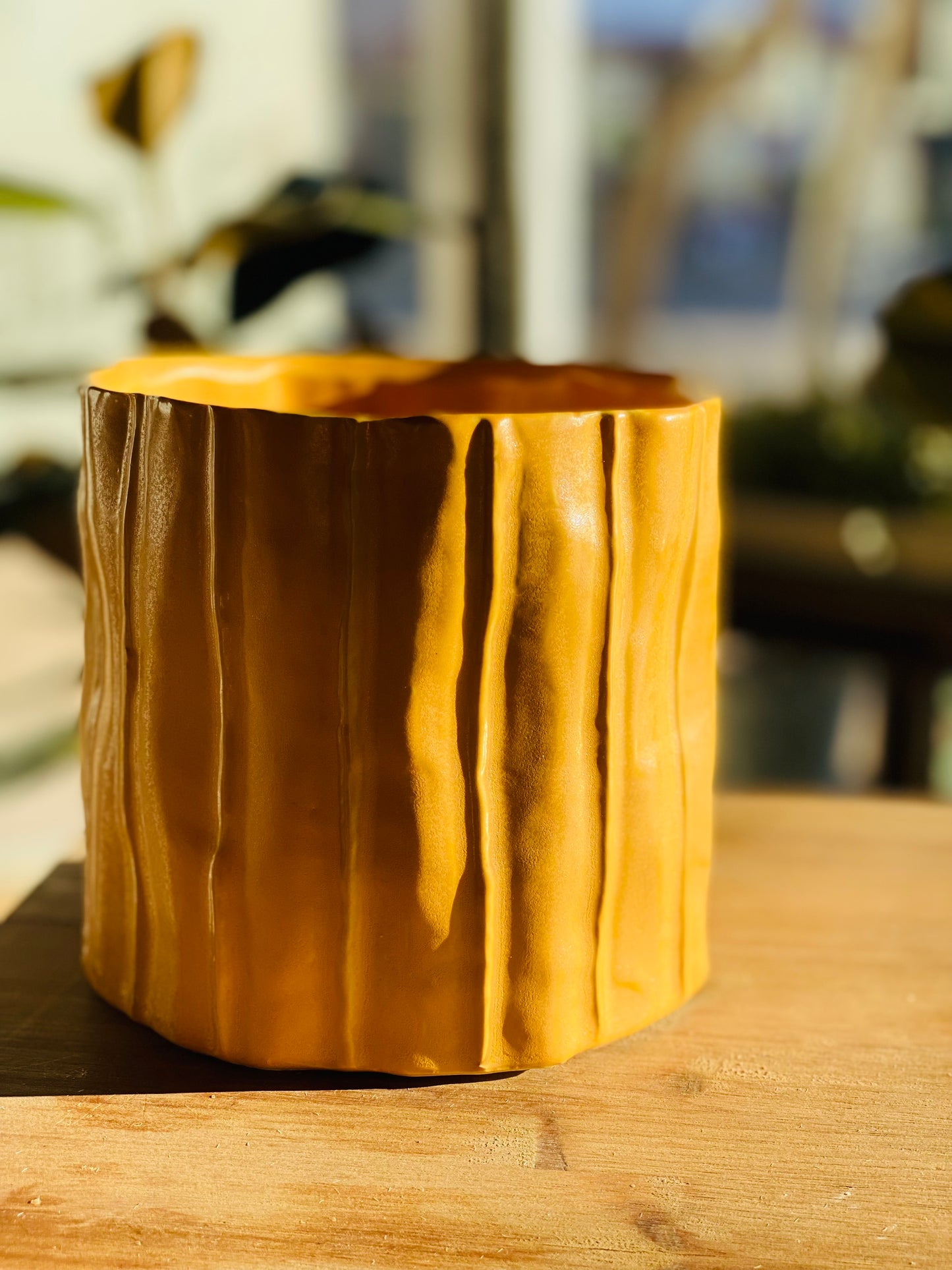 Capricorn Ceramic Planter