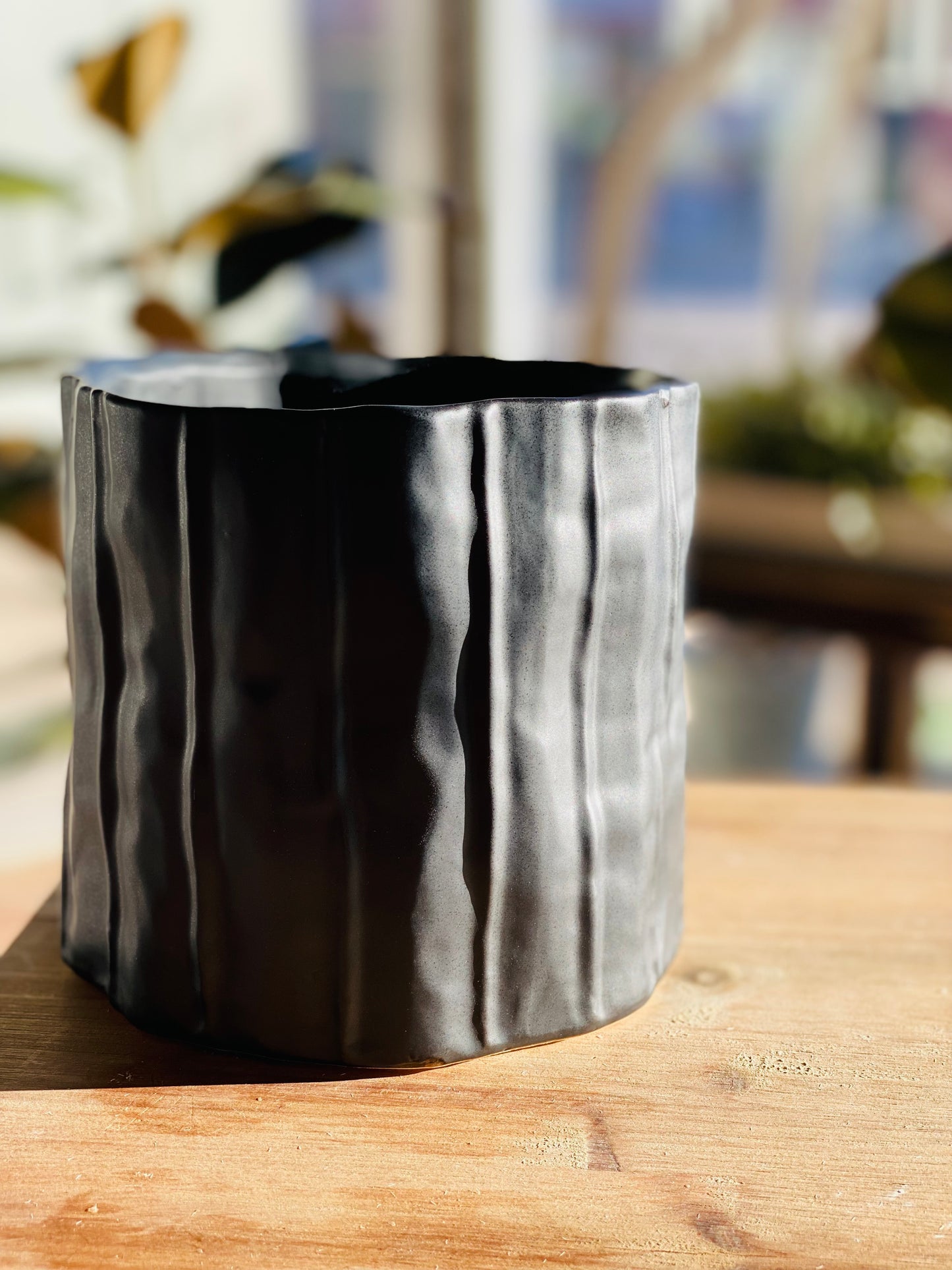 Capricorn Ceramic Planter