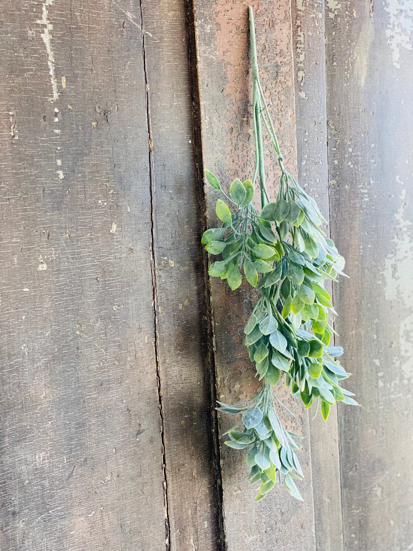 FARMHOUSE GREENS STEM
