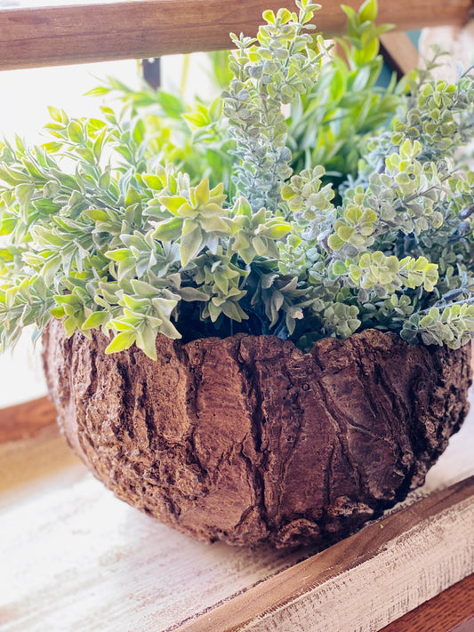 10.5" Top | CERAMIC FOSSIL BARK PLANTER