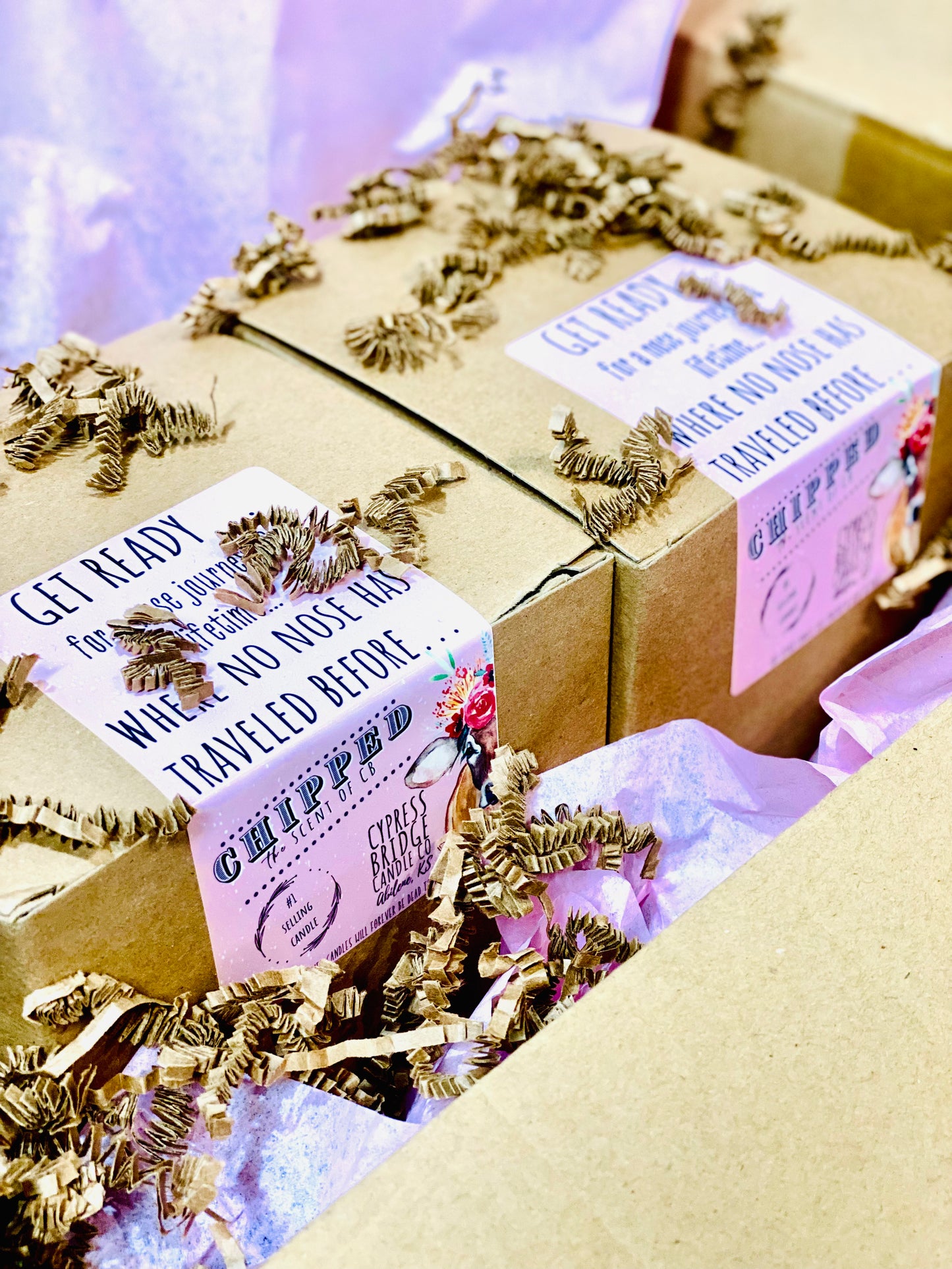 FOX & FRIENDS EDITION SCENT OF CB “CHIPPED™” | 19+ oz Chippy Top Jar Candle