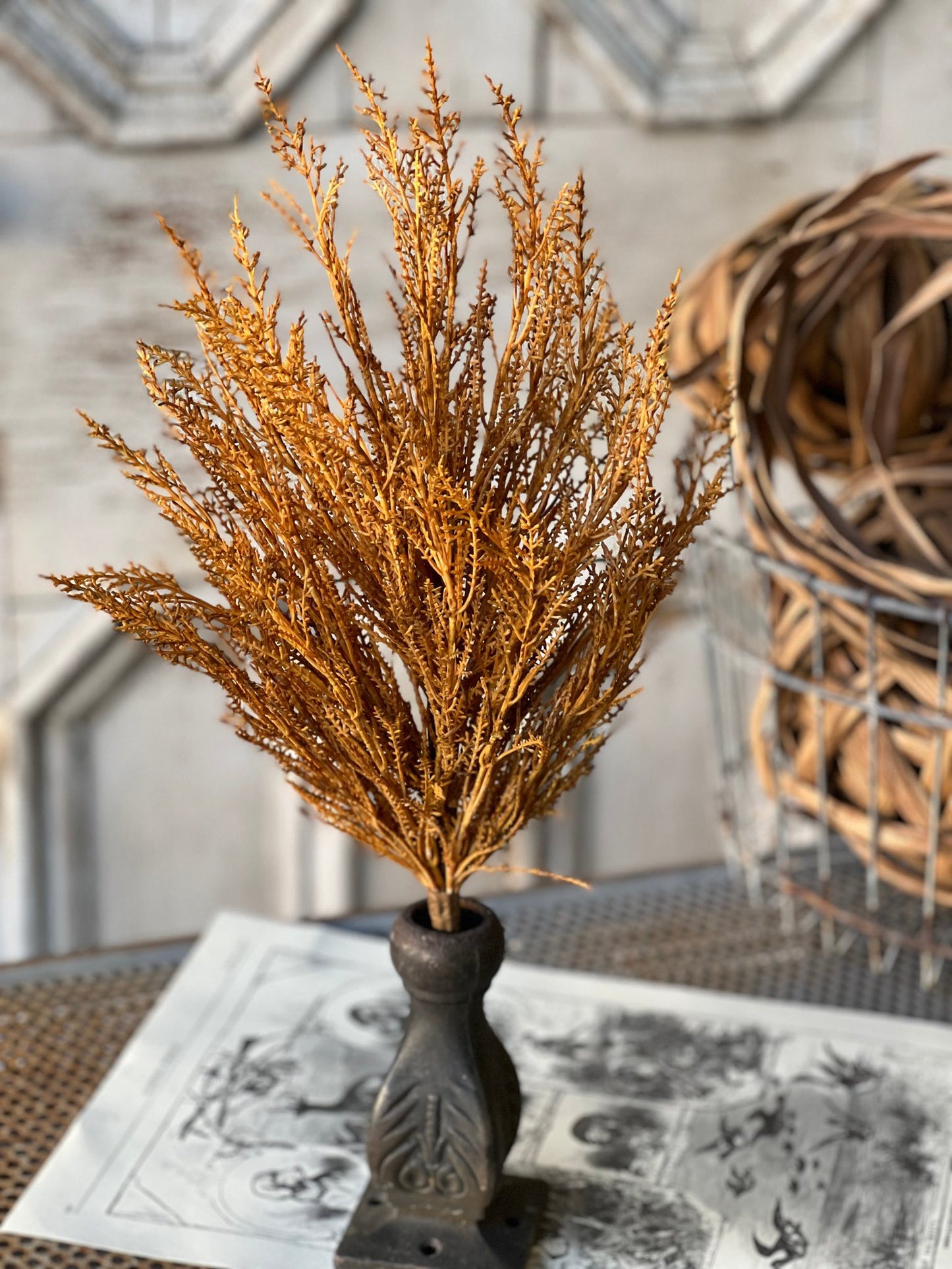 WILDTHORN BUSH | 19" | MAIZE