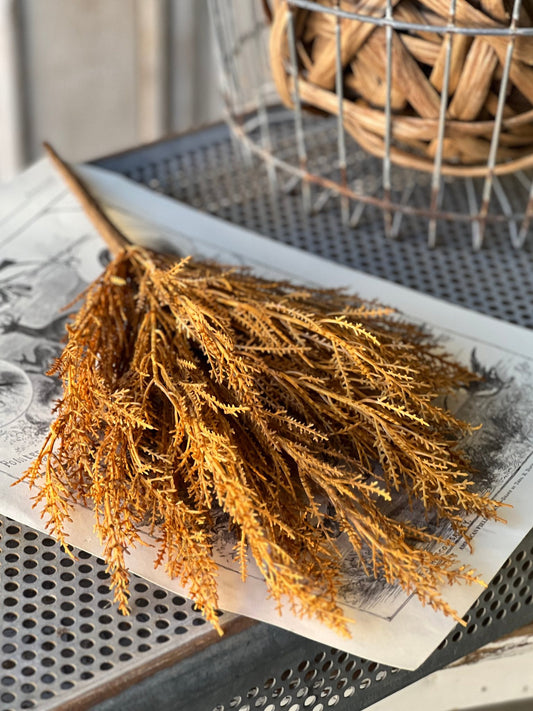 WILDTHORN BUSH | 19" | MAIZE
