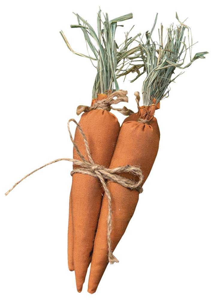 Primitive Fabric + Jute Carrots set