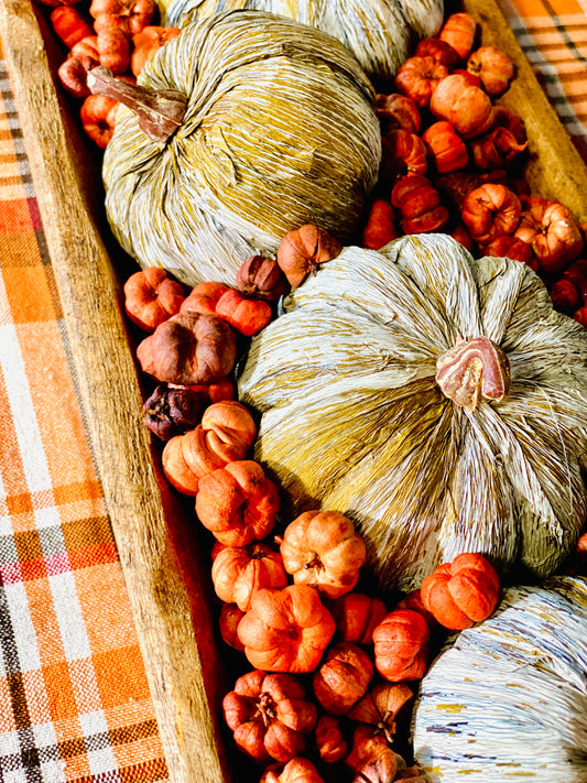 Timberland Pumpkins in Bag | 5pc