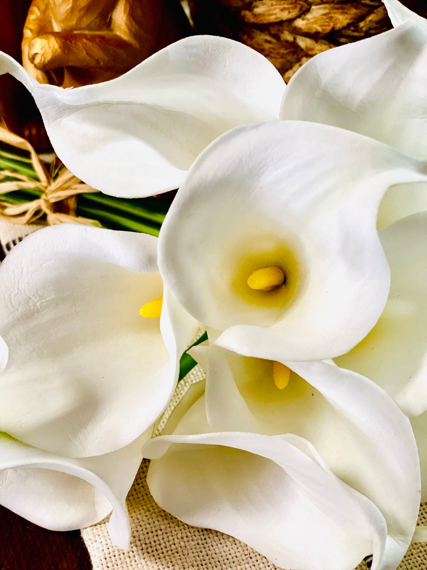 CALLA LILY WHITE