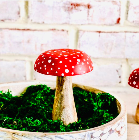 WOODEN DOT MUSHROOM