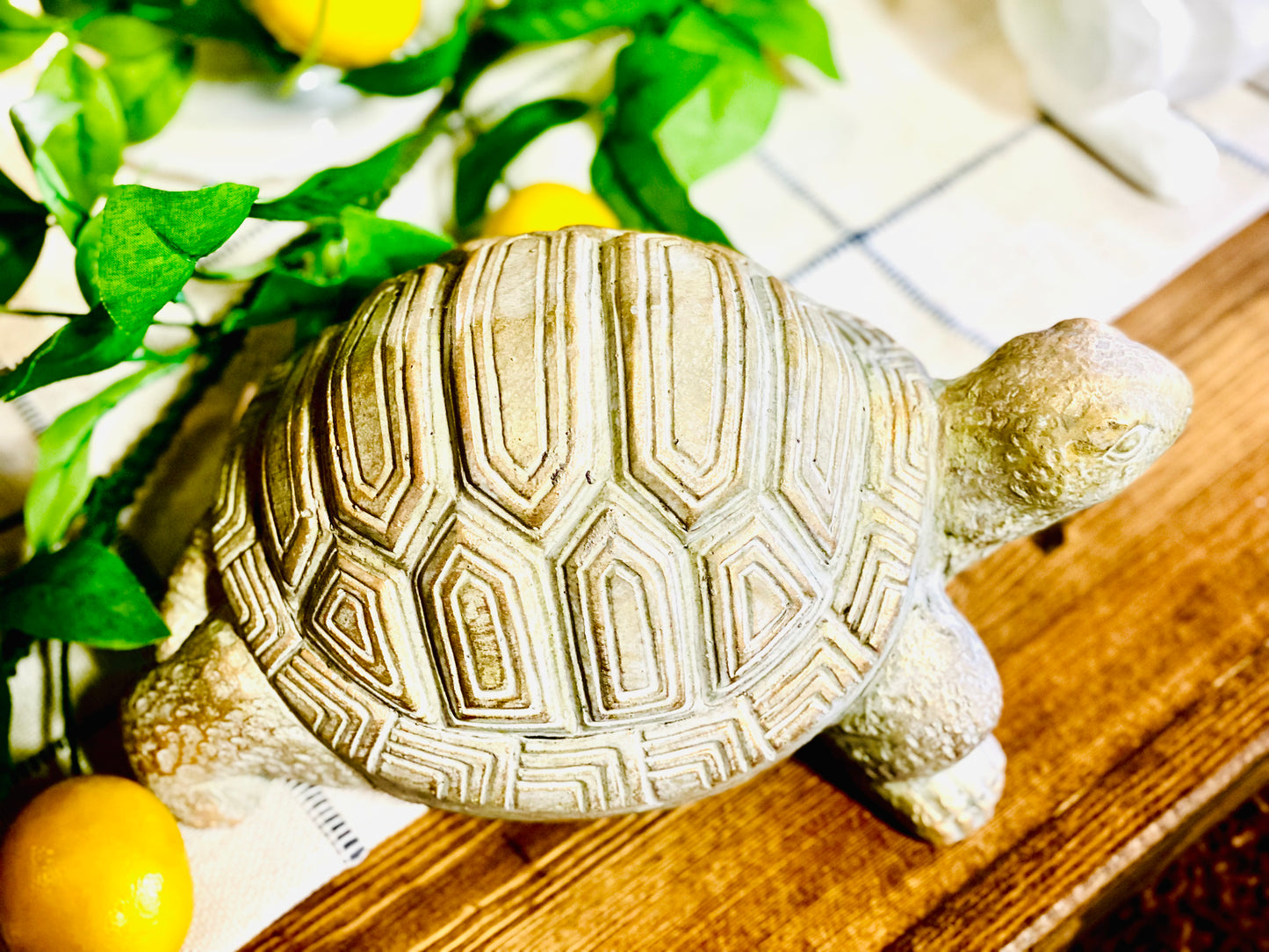 GOLD WASH GARDEN TURTLE