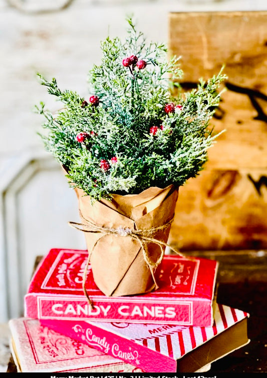 Merry Market Pot | 12"