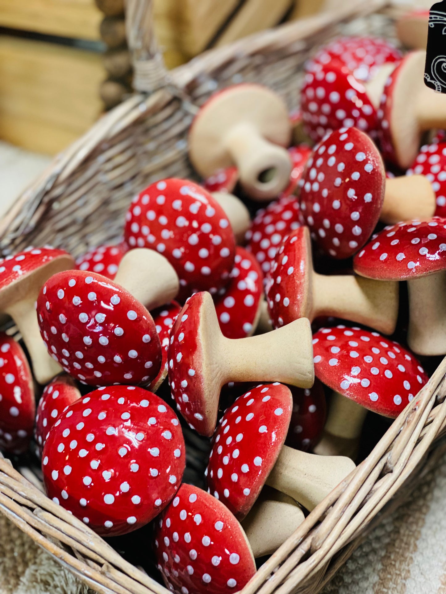 MINI RED SPOTTED MUSHROOM