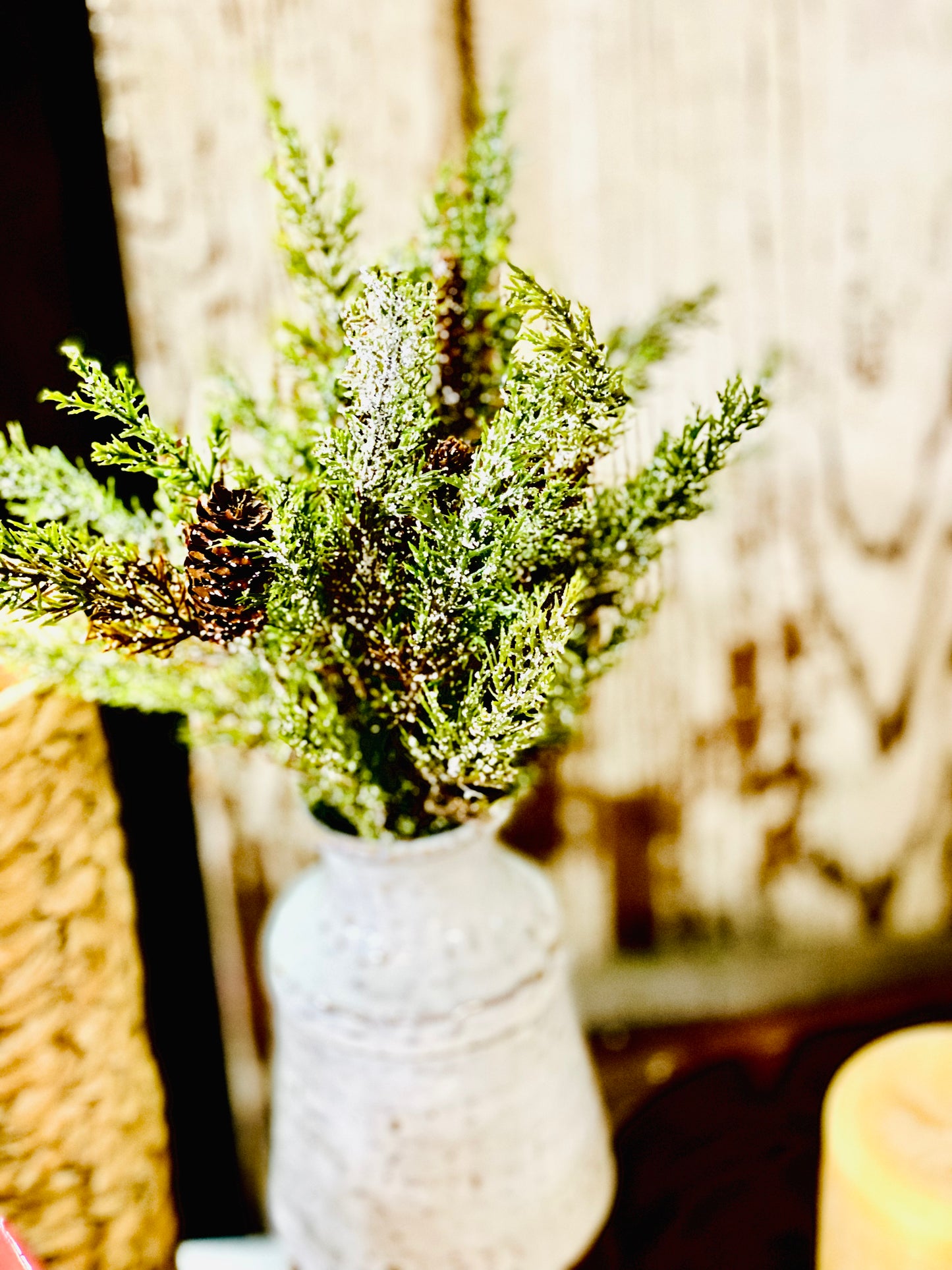 14" Snowy Prickly Pine Bush