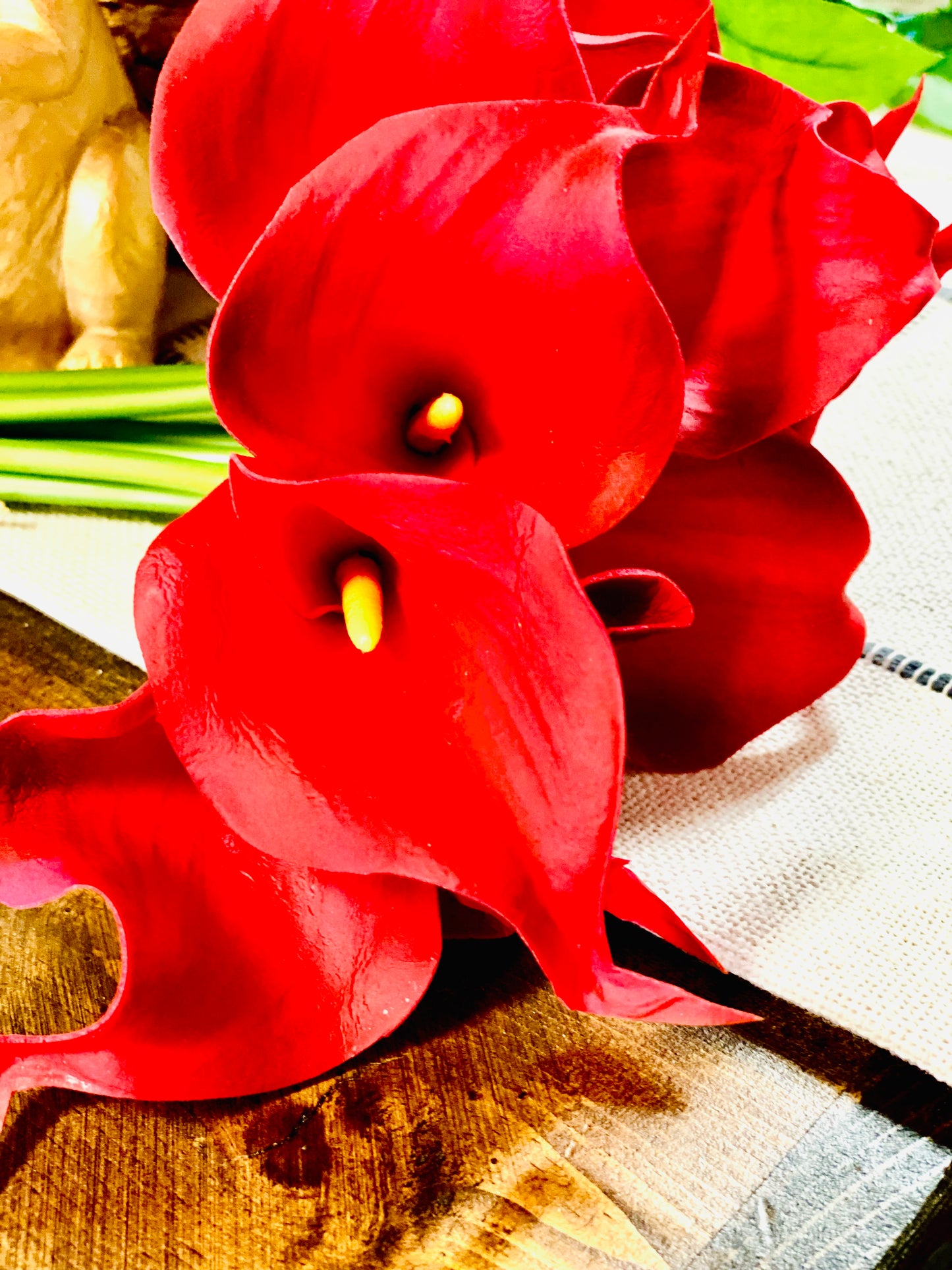 RED CALLA LILY