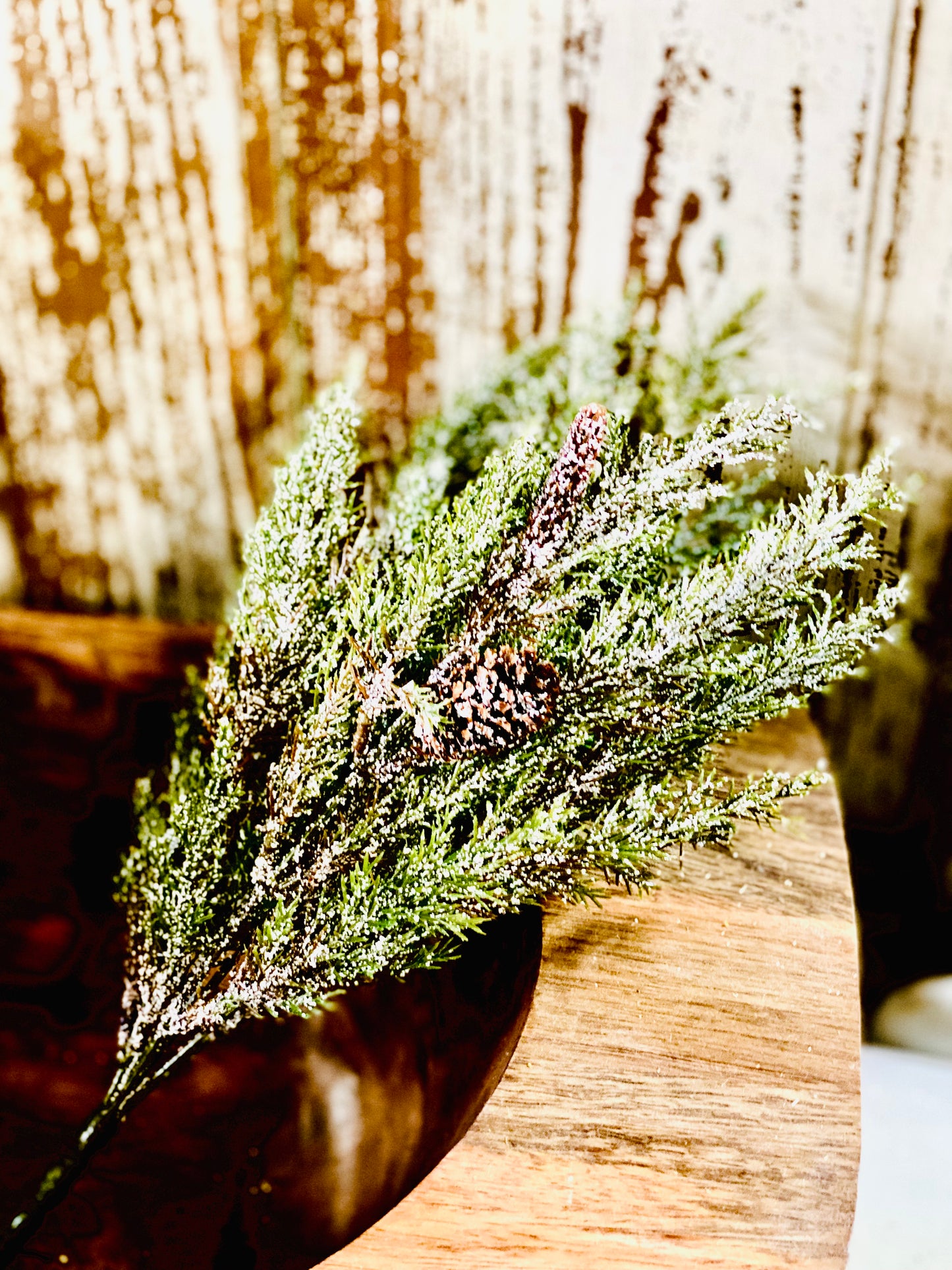 14" Snowy Prickly Pine Bush