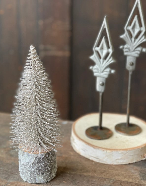 Snowy Foxtail Pine Tree | 8" Platinum **
