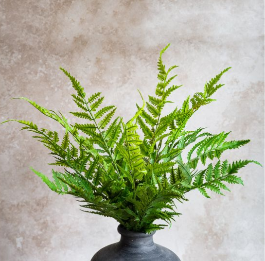 19" FERN BUSH
