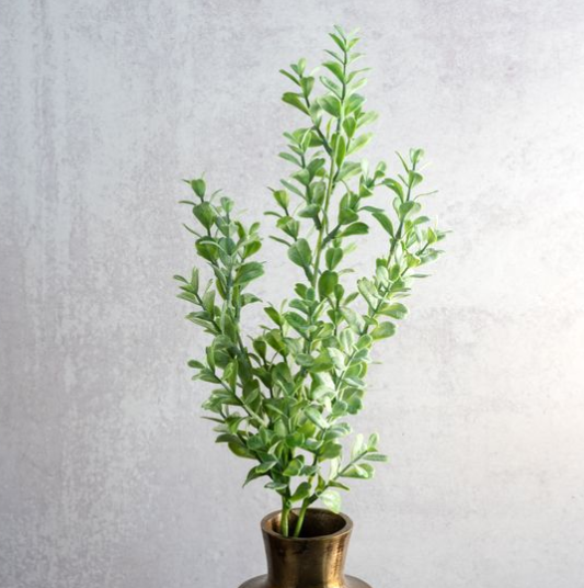 26" EUCALYPTUS BUNCH