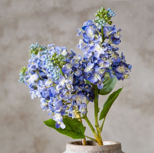 26" PURPLE CONE LILAC STEM