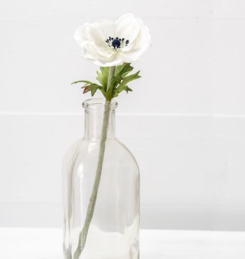 WHITE POPPY FLOWER