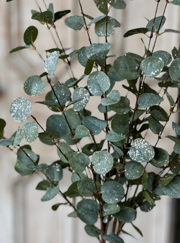 Crisp Air Eucalyptus Bundle (w/ frost effect) | 35"