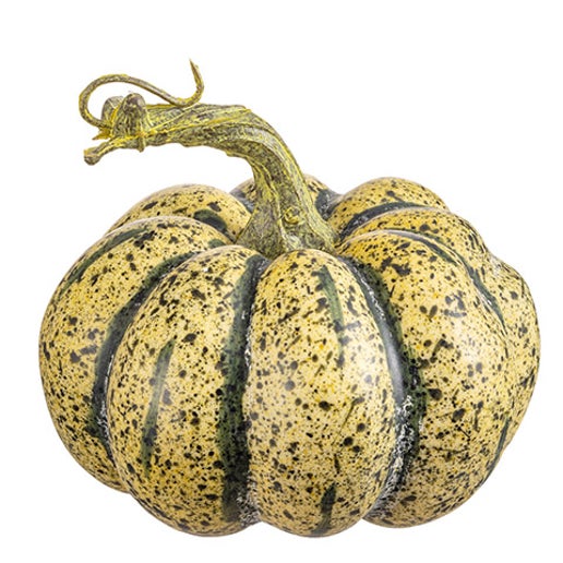 Chunky Green Pumpkin