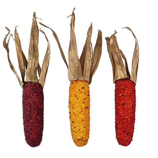 FALL INDIAN CORN