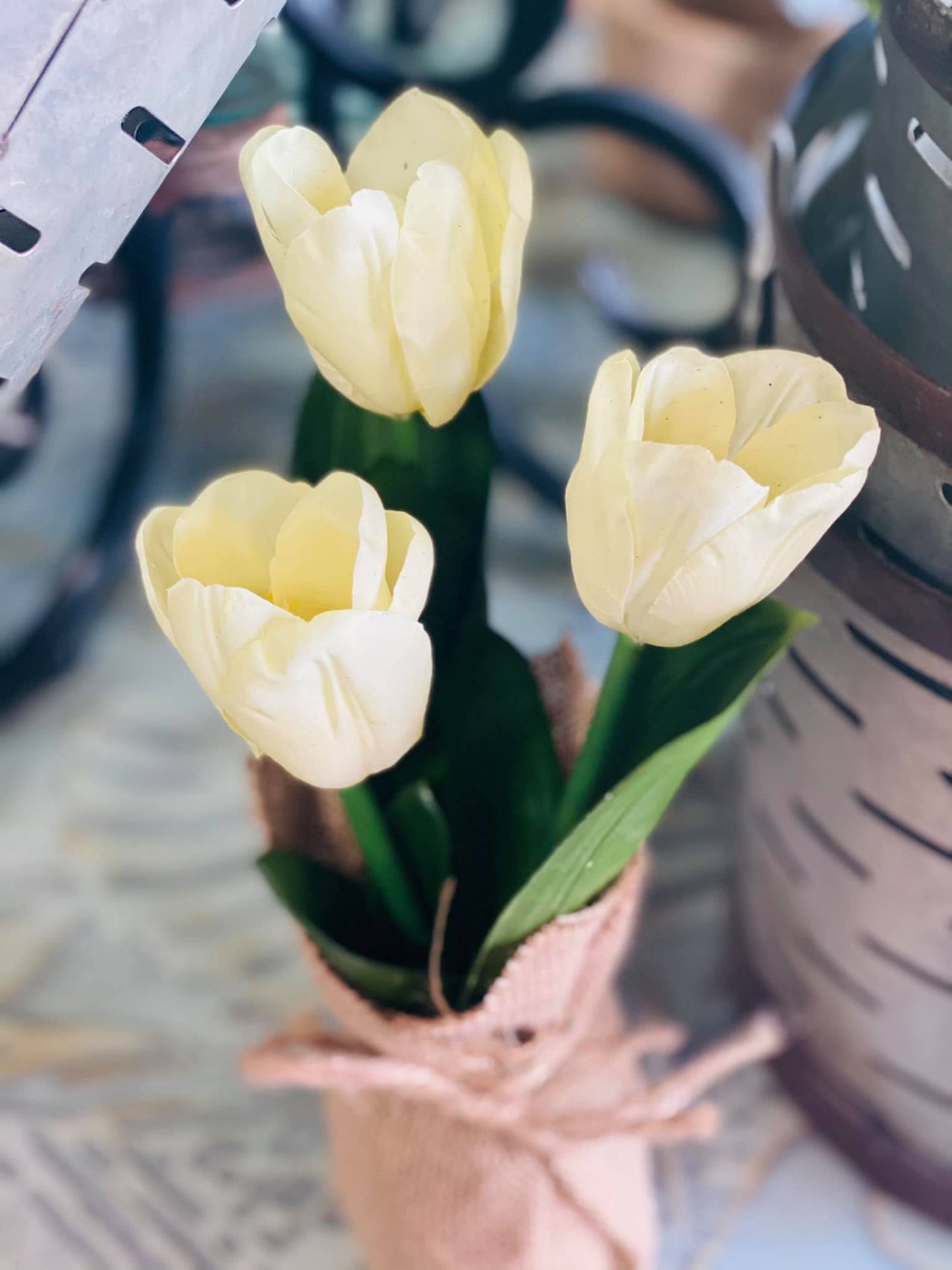 11.5" TULIPS IN BURLAP
