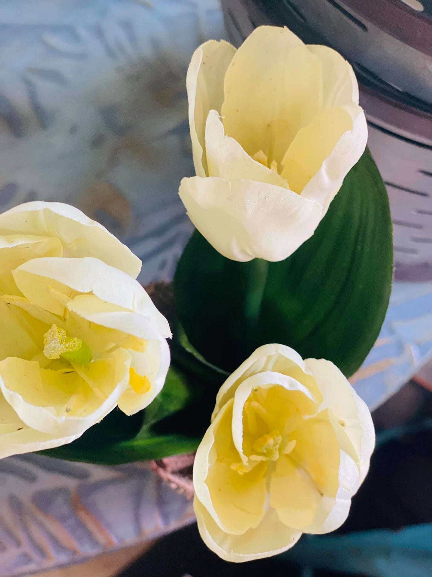 11.5" TULIPS IN BURLAP